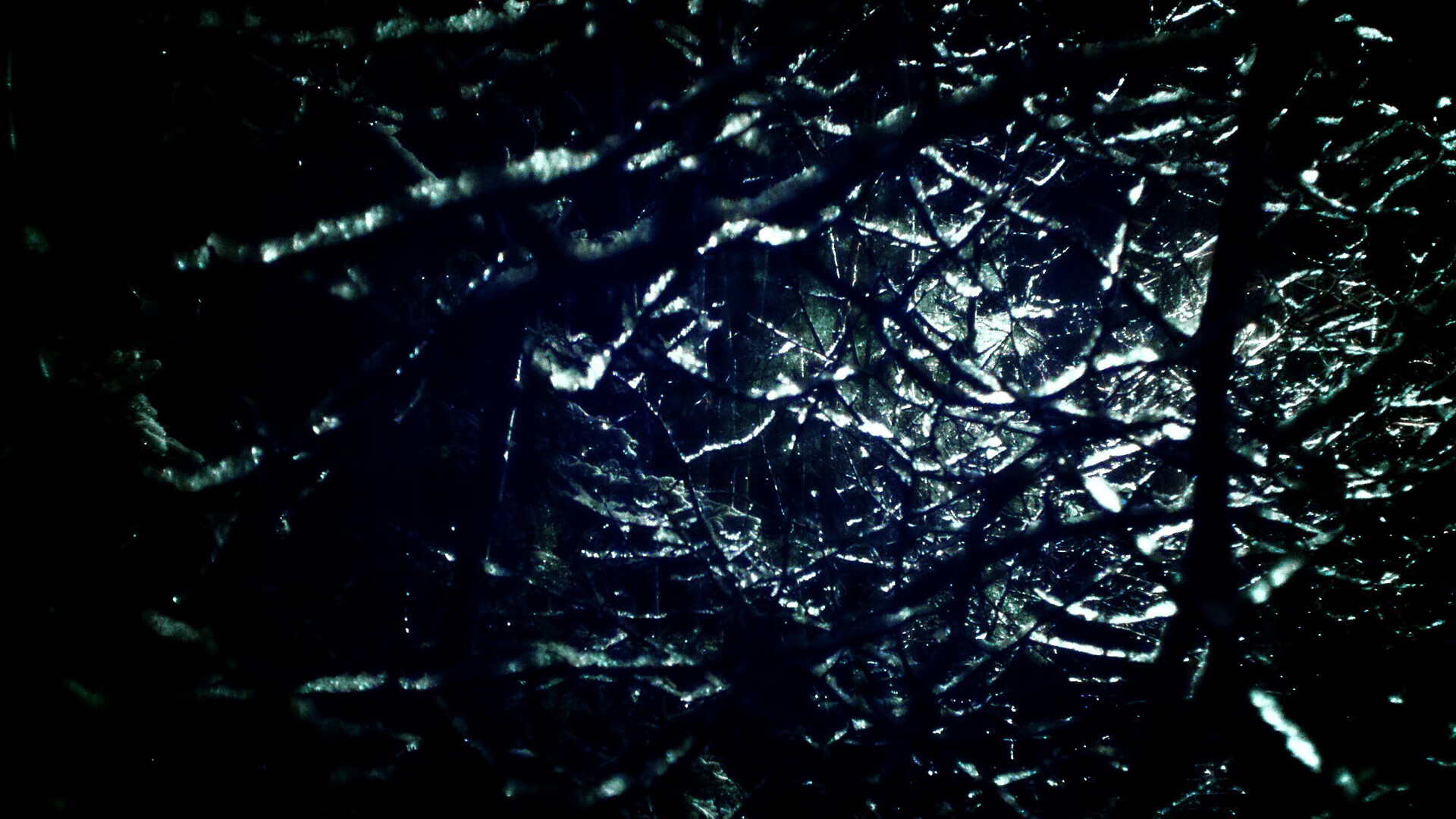 跨界荣耀，马龙挂帅德国乒团，强势横扫波兰队