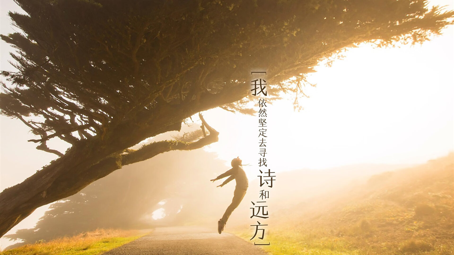 孤胆英雄定乾坤，欧冠终局，武切维奇一剑封喉改写历史