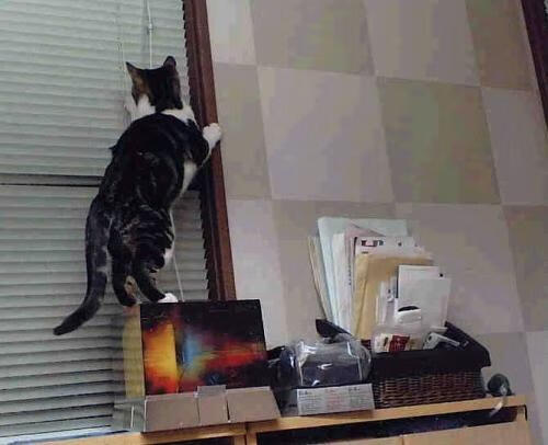 高原之巅！德罗赞38分撕裂绿衫军防线，掘金用团队篮球碾压夺冠热门