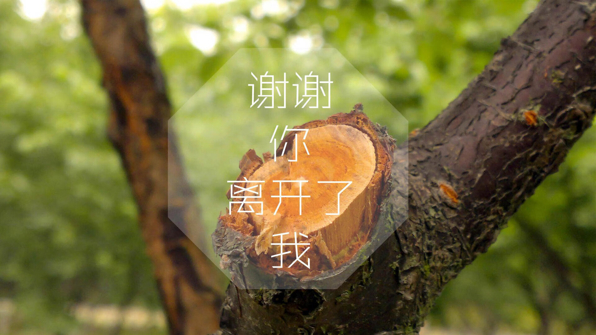 改写西部的剧本，福克斯爆发成关键先生，火箭窒息式压制终结勇士悬念