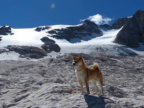 战术弯道，奥亚尔萨瓦尔在F1街道赛接管比赛