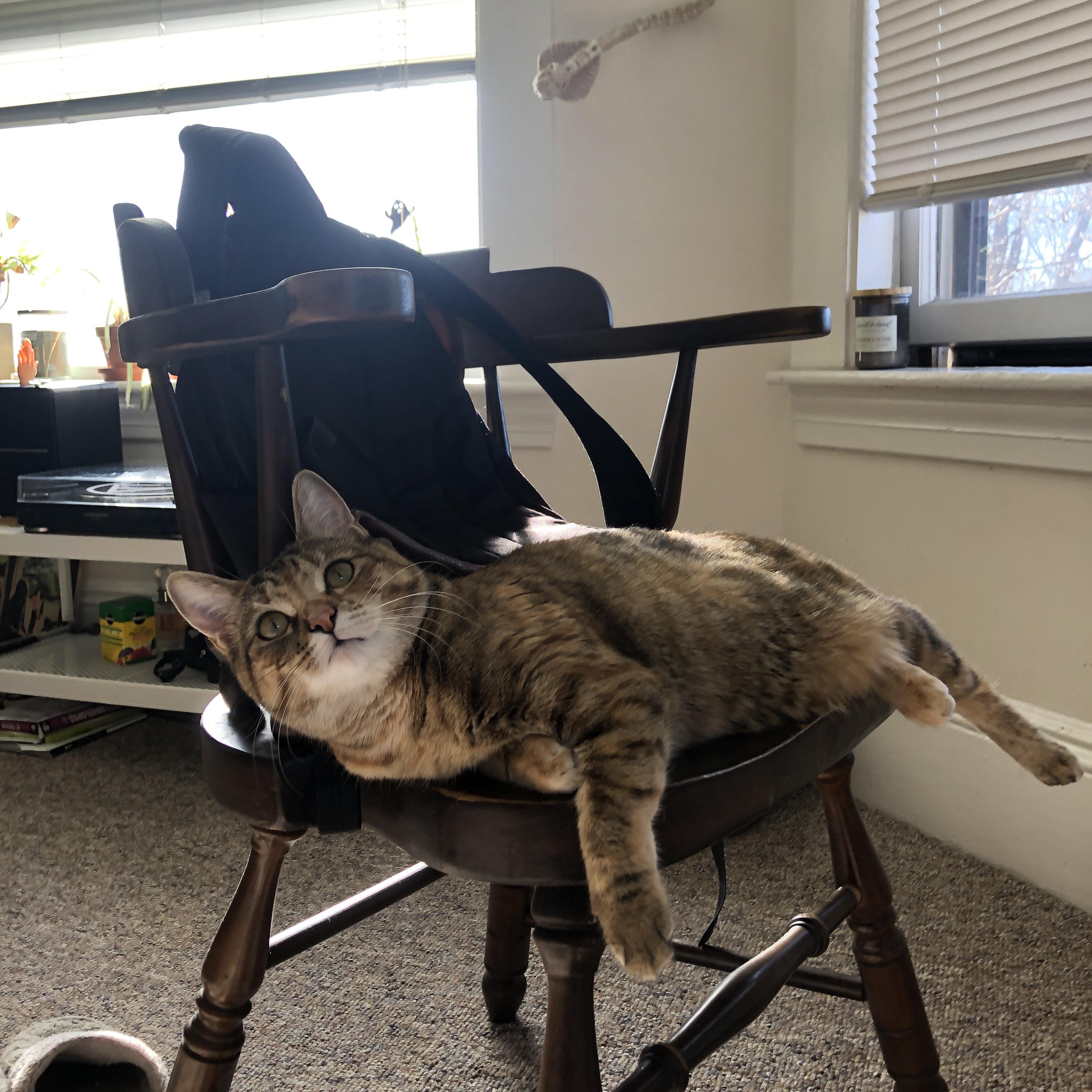 一战定乾坤！欧冠终局之战皇马力克巴拉圭豪门，十四冠传奇再续