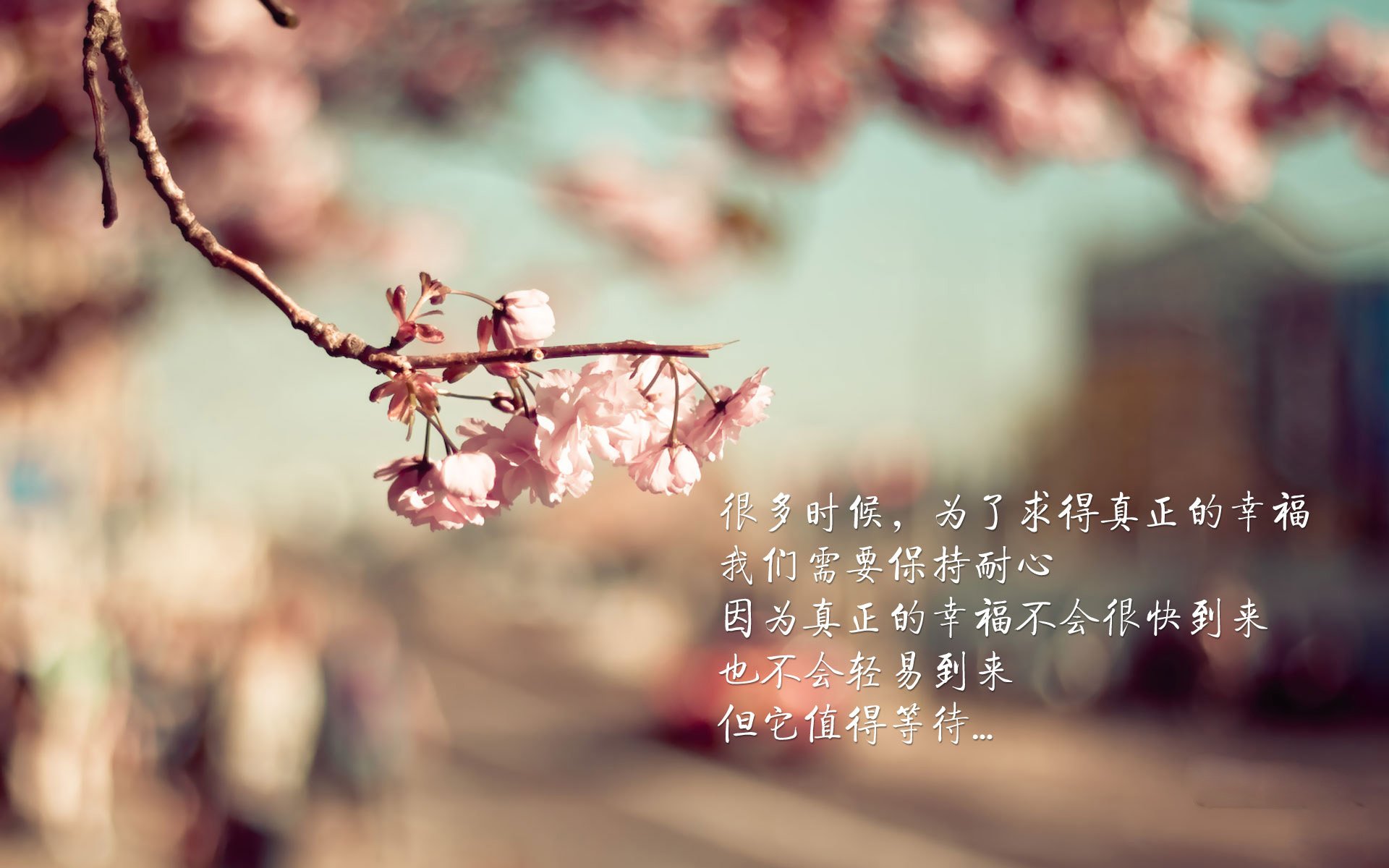 同一天的两个平行剧本，当灰熊撕碎爵士时，小贾伦正在欧冠决赛接管比赛