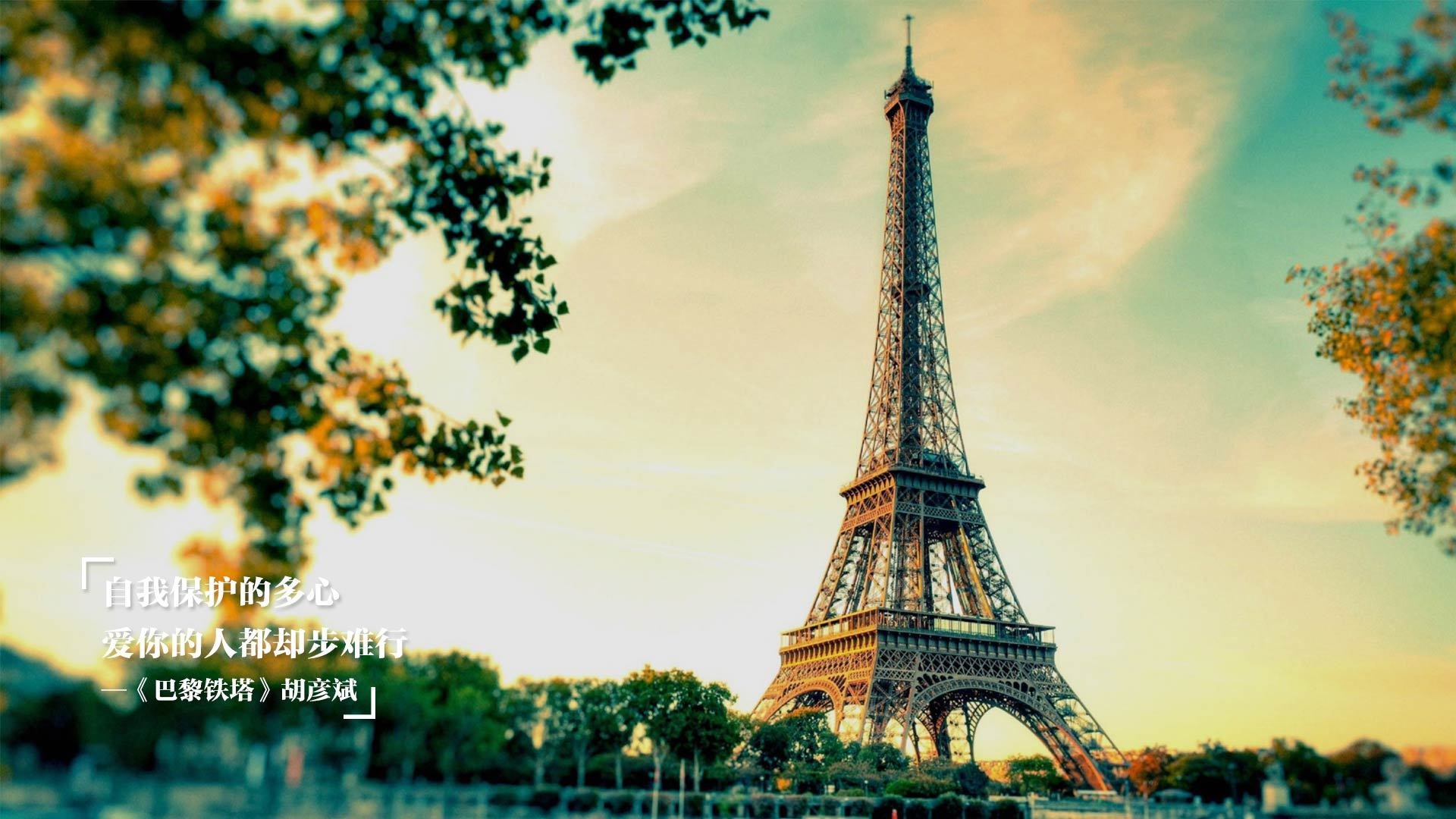 绿茵蓝图与篮筐誓言，当欧冠烽火照亮东方