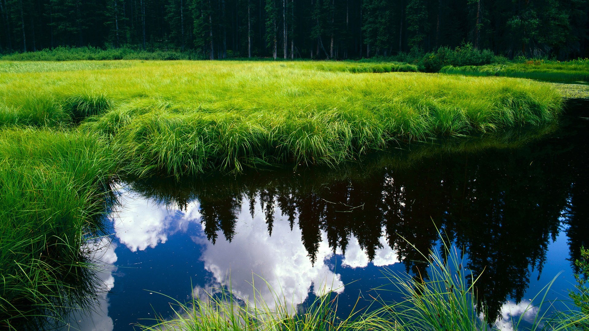 一夫当关，万夫莫开，劳塔罗用独舞定义墨加之战