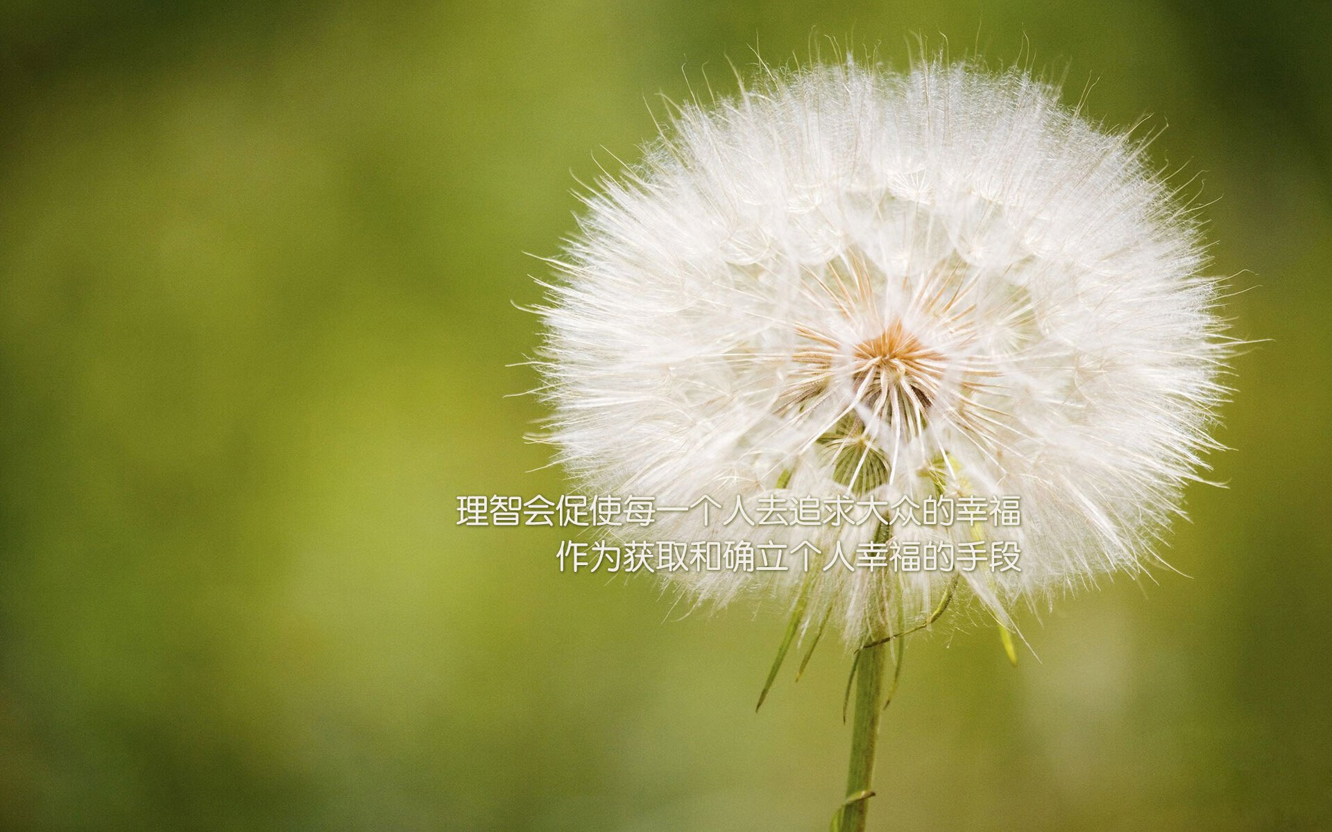 格纳布里绝杀助攻,埃及奇迹般逆转罗马,关键先生铸就经典之战