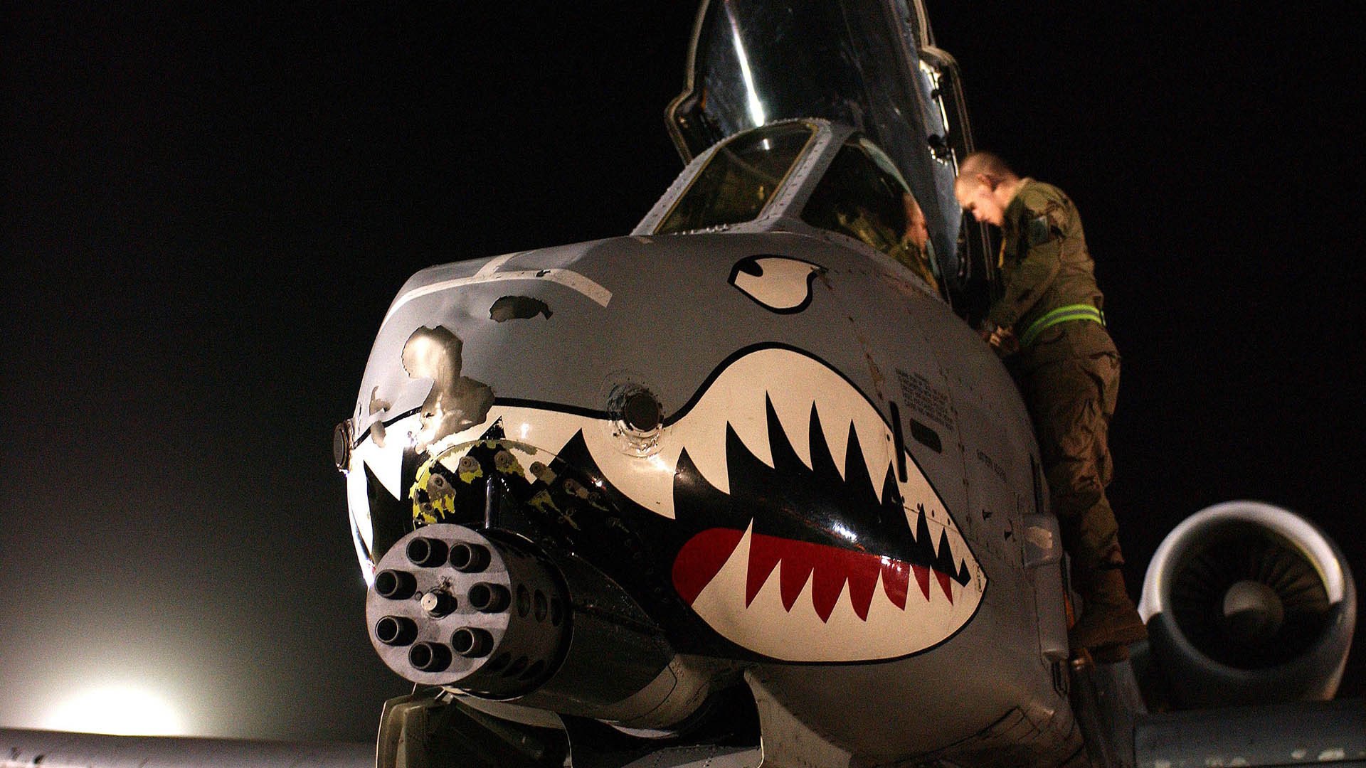 冷门与纪录之夜,几内亚斩落郁金香,帕尔默刷新英超新章