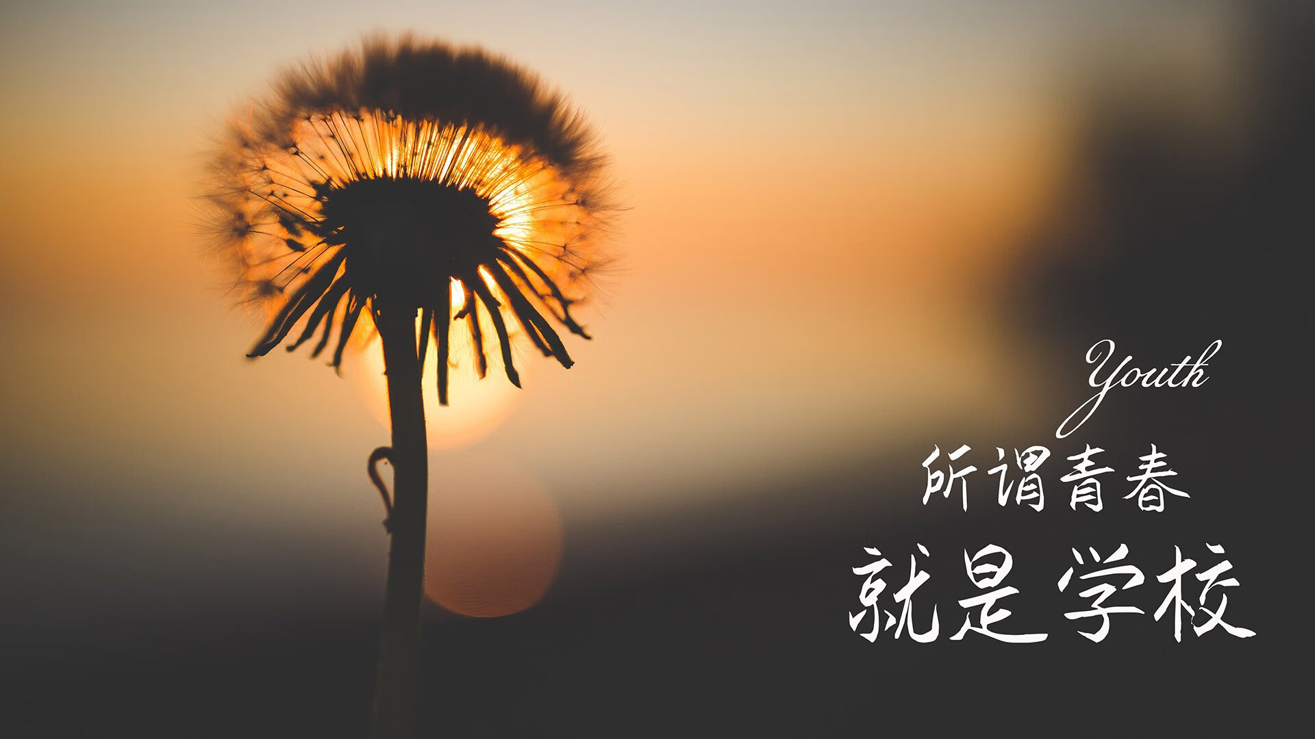 冰川与热带的交响，2026，托纳利在北纬66度书写南柯一梦