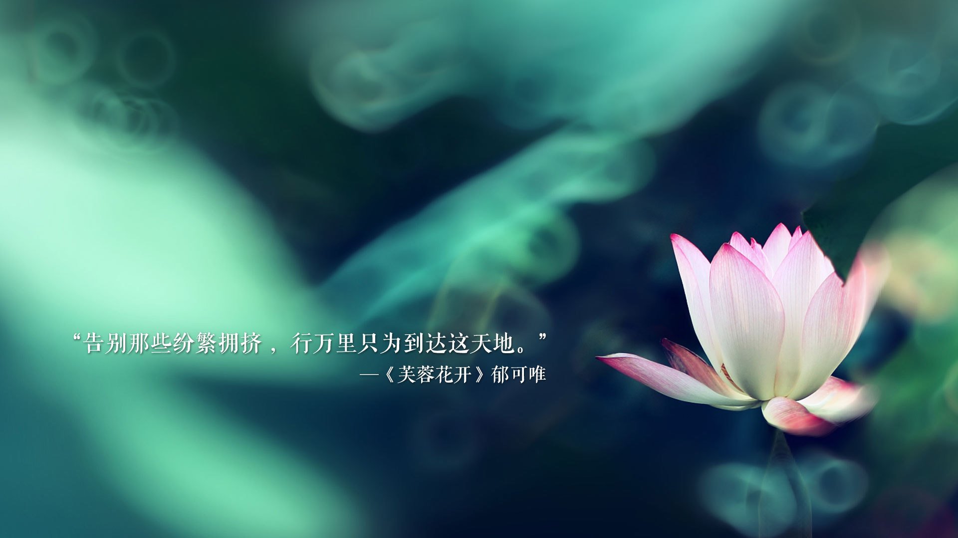 节奏之王的宿命对决，当梅西的指挥棒轻轻落下，罗马尼亚在2026世界杯A组演绎完胜美学
