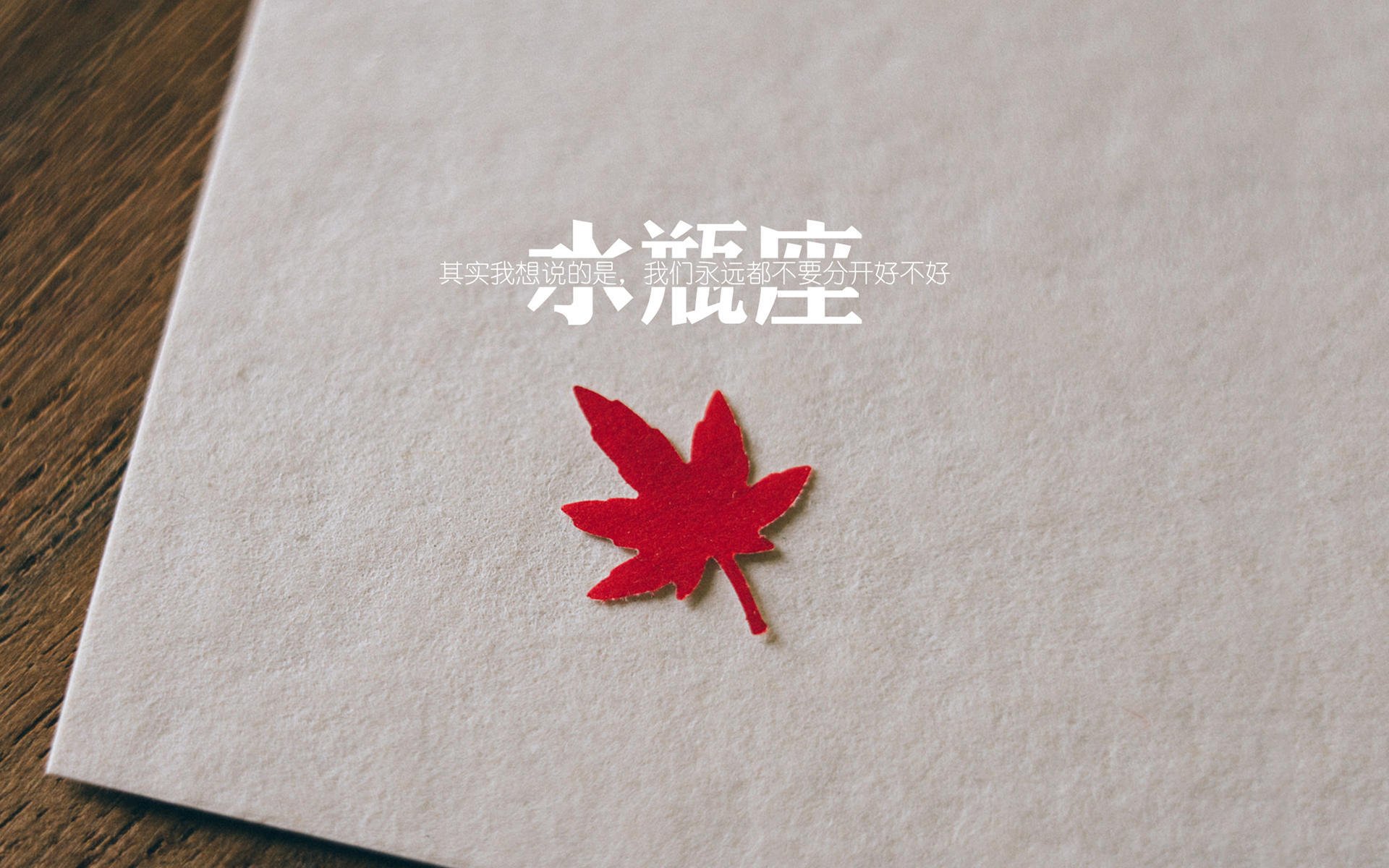 蓝焰独舞，2026世界杯F组的唯一倒影，坎塞洛在极北寒光中刺穿宿命