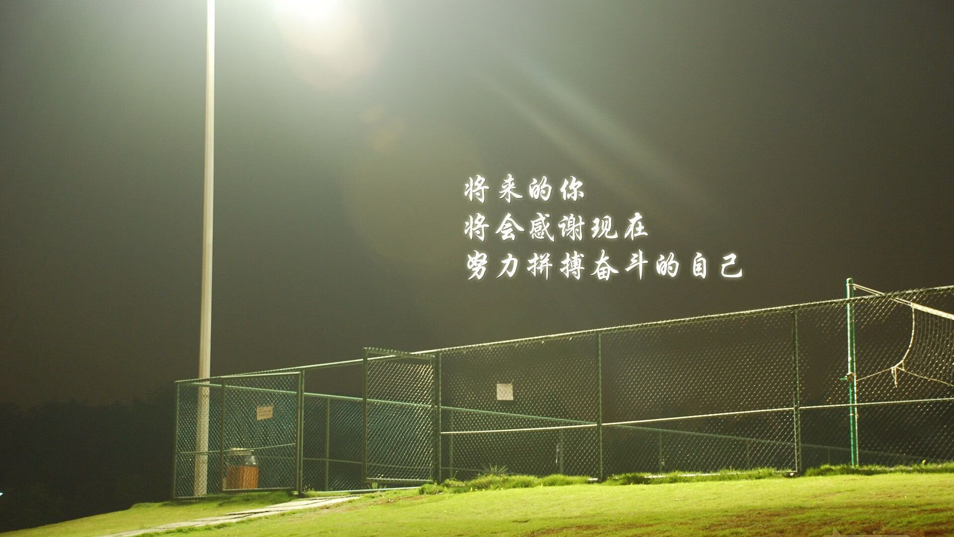 撕裂宿命的黄金之翼，加纳爆冷掀翻葡萄牙，费利克斯的独舞与非洲足球的加冕夜
